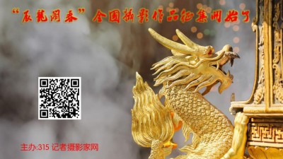 315記者攝影家網(wǎng)“辰龍鬧春”全國攝影作品征集開始了