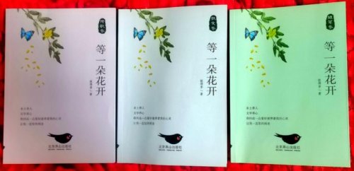 《清雅無華入夢(mèng)懷》——本溪新銳詩(shī)人PeterLee詩(shī)集欣賞